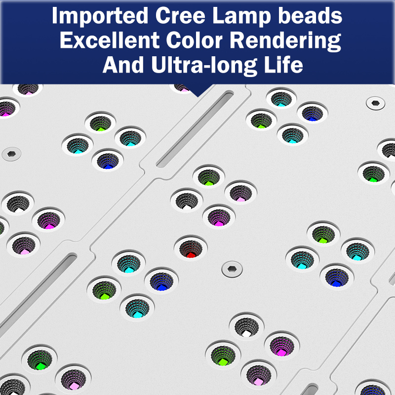ホットKASSRAY T169/T215 CREEs LED - Marine Aquarium & Regional Centre Reviews のレビューと価格
