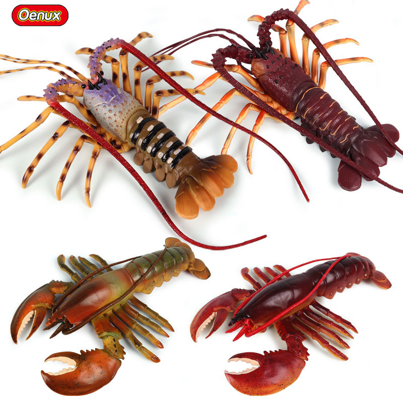 リアルな海洋生物フィギュア アメリカンロブスター キングクラ - Marine Aquarium Hermit Crab のレビューと価格